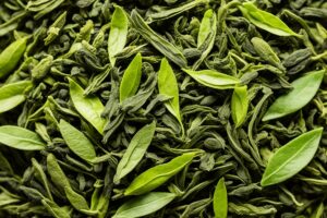 Best Green Tea to Stabilize Immune System – Top Picks